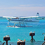 Key West Seaplane Adventures Landing in Gulf of Mexico with Birds
