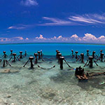 Coal in Dock with Snorkelers
