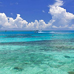 Gorgeous Water at Dry Tortugas National Park